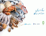 أسماك المراكبي - El Marakby Fishes أسماك المراكبي - El Marakby Fishes