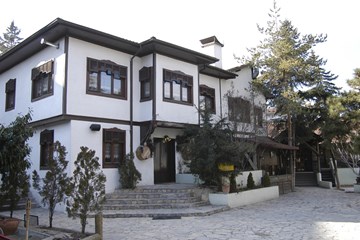 دافني دافني