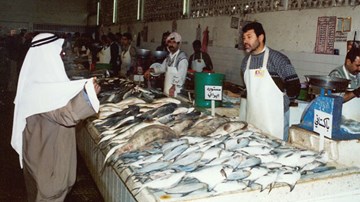 سوق السمك سوق السمك