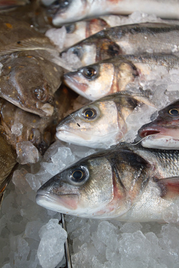 سوق نورتكوت سوق نورتكوت