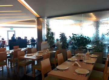 الصنوبر الصنوبر