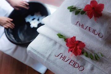 شيسيدو شيسيدو