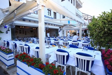 ميميدوف ميميدوف