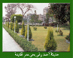 حديقة احمد رامى حديقة احمد رامى