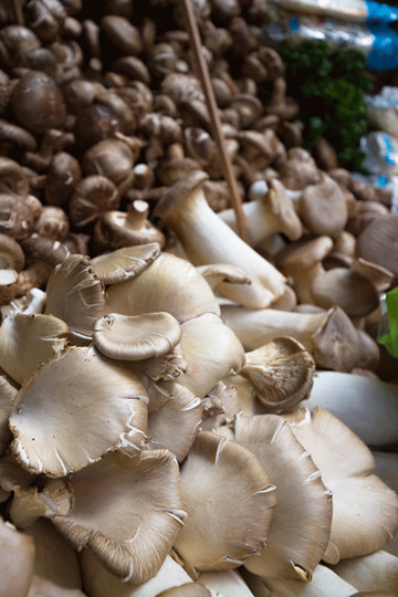 سوق ريل فود سوق ريل فود