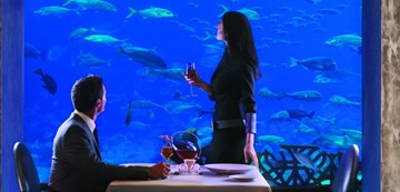 أوسيانو أوسيانو