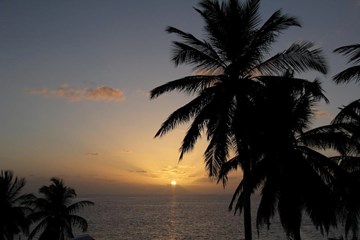 مطعم كاني بيتش مطعم كاني بيتش