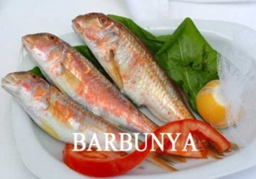 دويا باليك دويا باليك