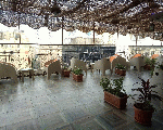 فندق تاون فيو Town View Hotel فندق تاون فيو Town View Hotel